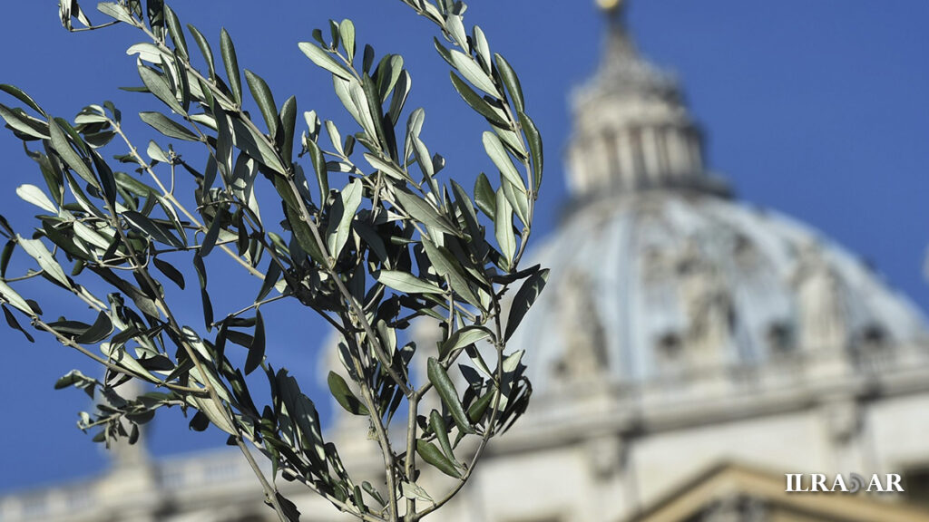 Un ramoscello d'ulivo per la domenica delle palme e la cupola della Basilica di San Pietro