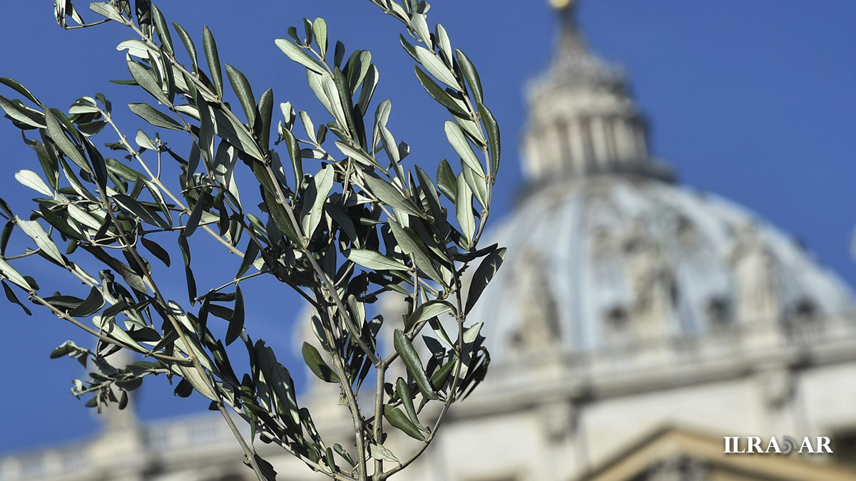 Un ramoscello d'ulivo per la domenica delle palme e la cupola della Basilica di San Pietro
